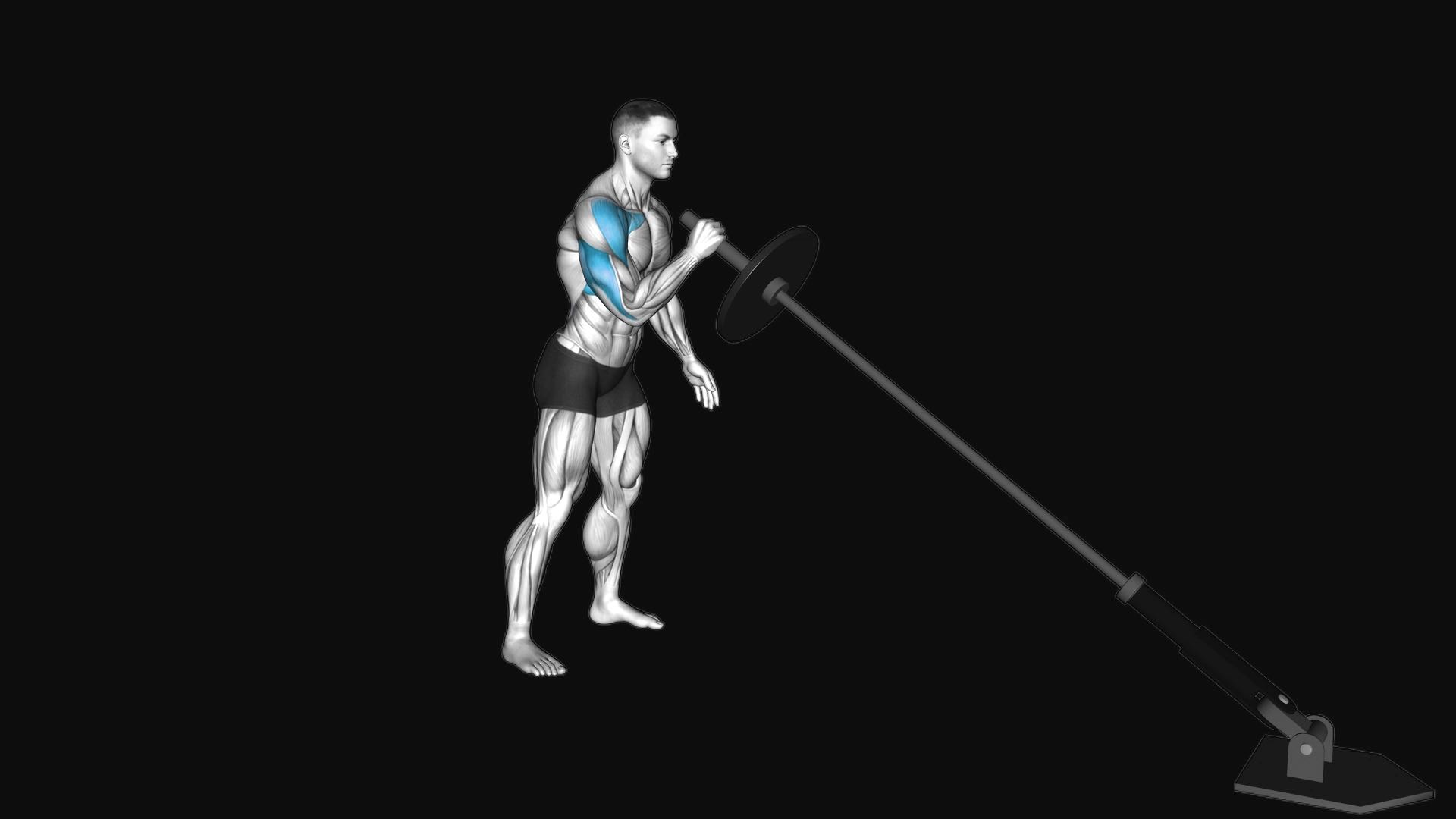 Landmine Single-Arm Press