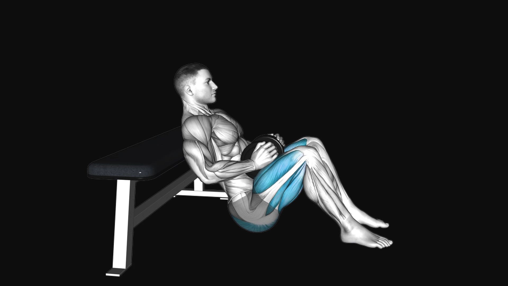 Dumbbell Hip Thrust on Bench