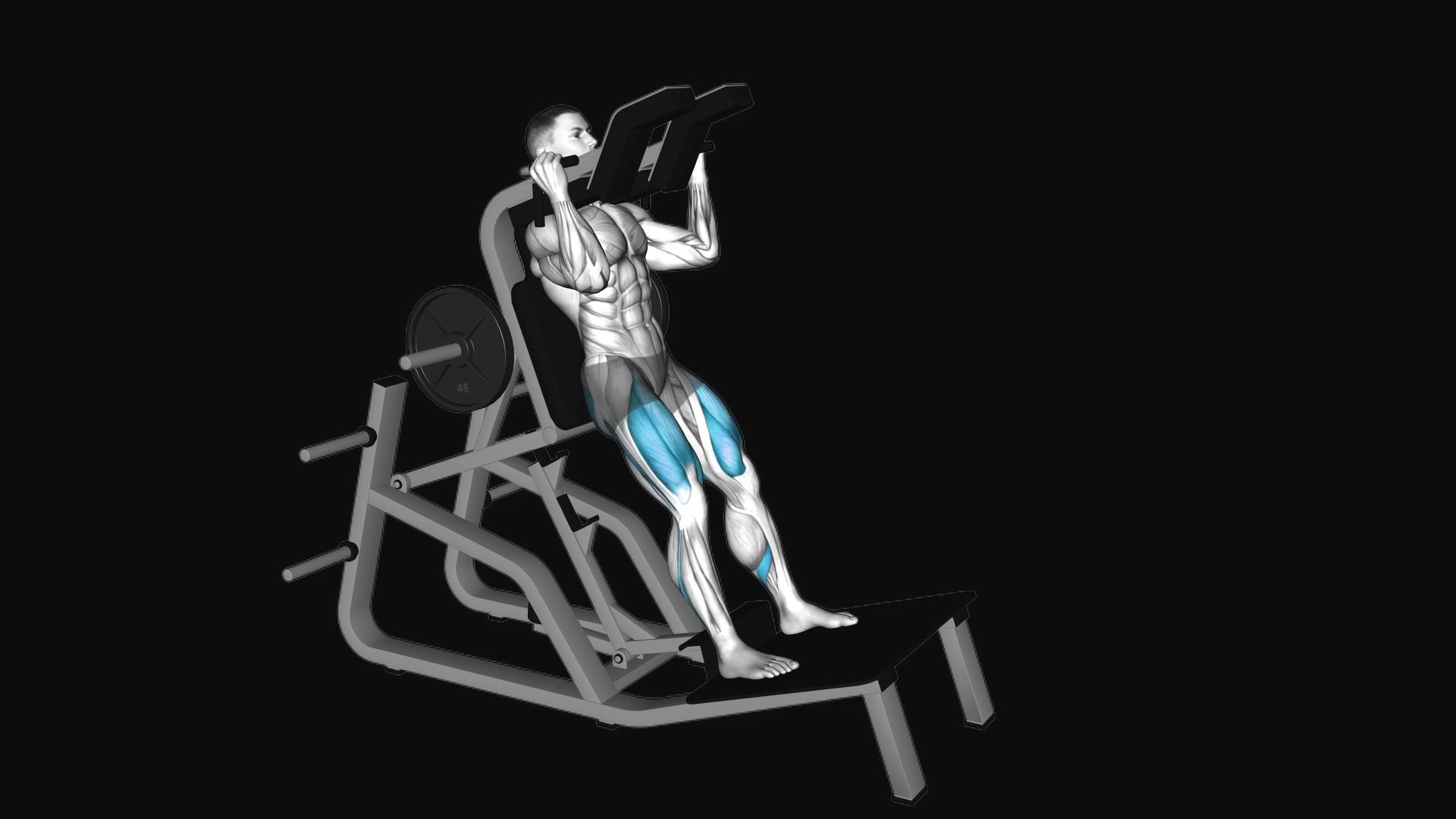 Lever Vertical Squat