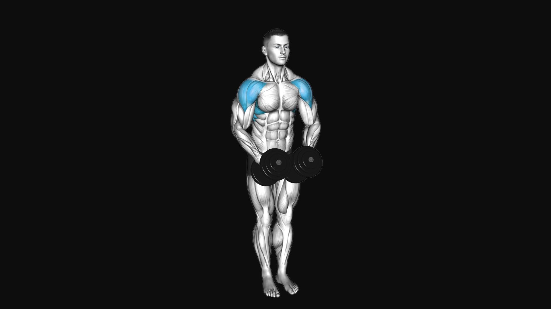 Dumbbell Standing Slight Bend Arm Lateral Raise