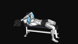 EZ-Barbell Lying Triceps Extension