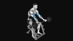 EZ-Barbell Preacher Curl