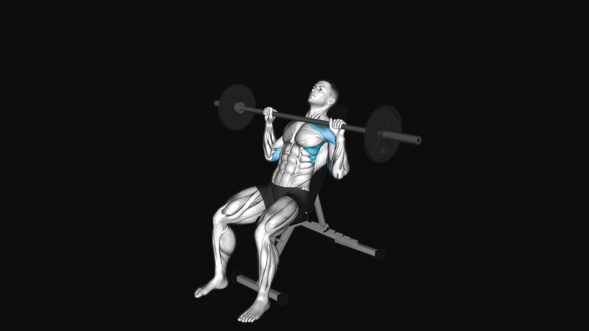 Barbell Incline Shoulder Press