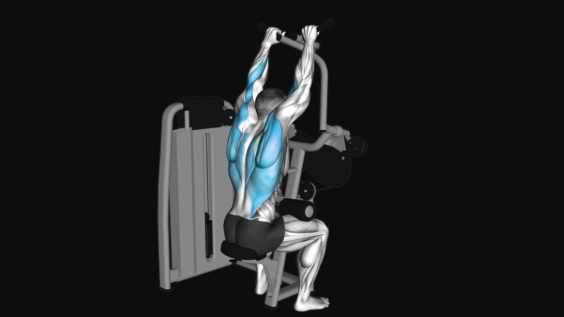 Lever Cross Lat Pulldown