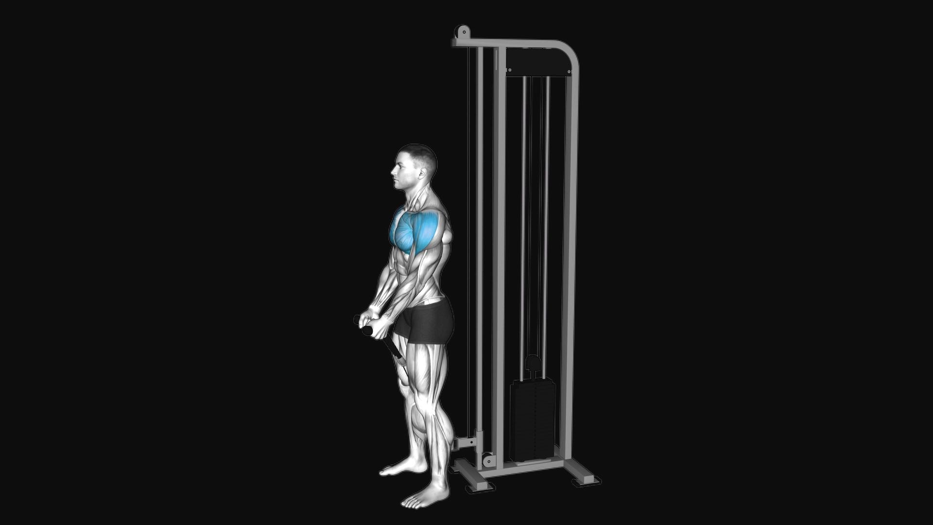 Cable Front Raise