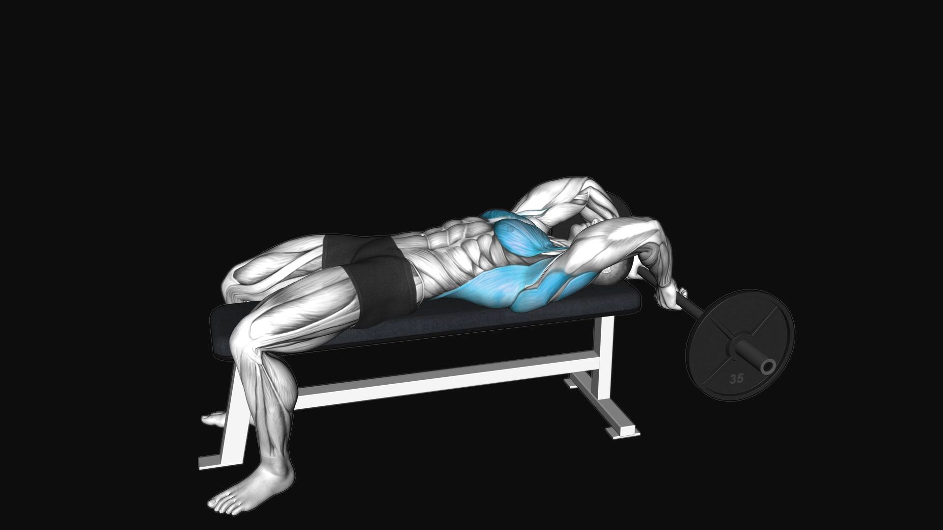 Barbell Bent-Arm Pullover