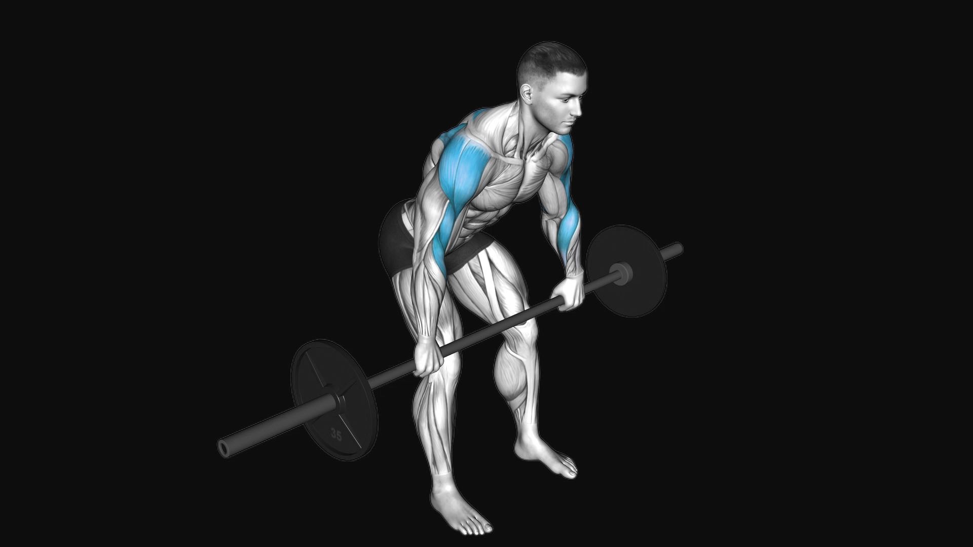 Barbell Rear Delt Row