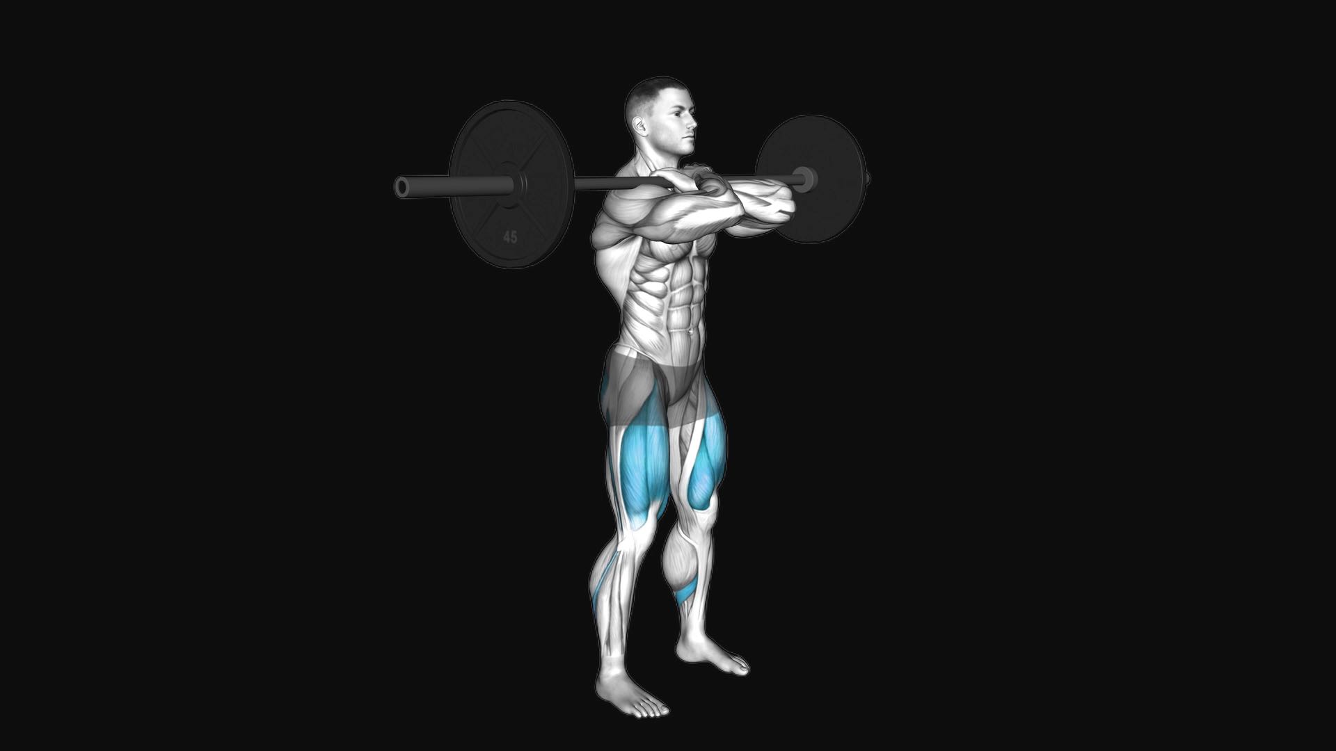 Barbell Front Squat