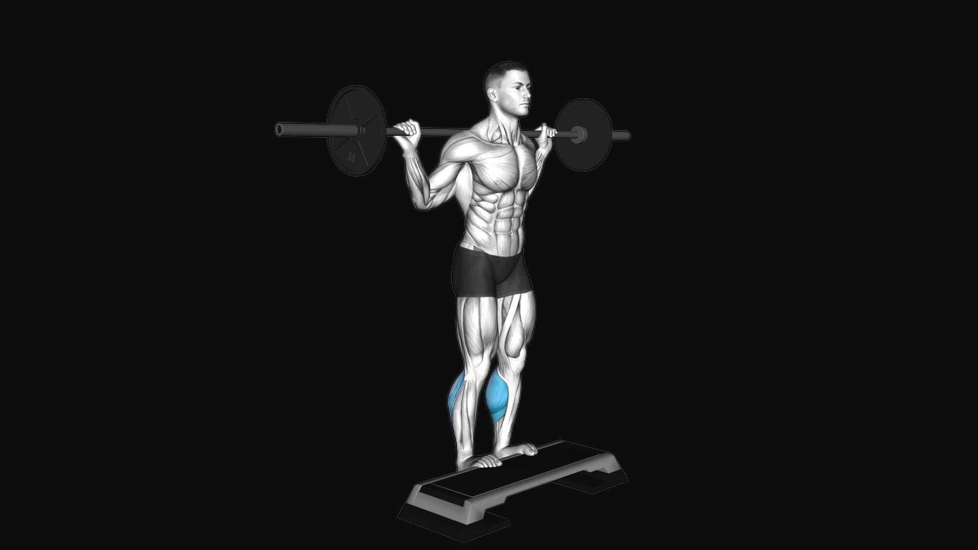 Barbell Standing Calf Raise