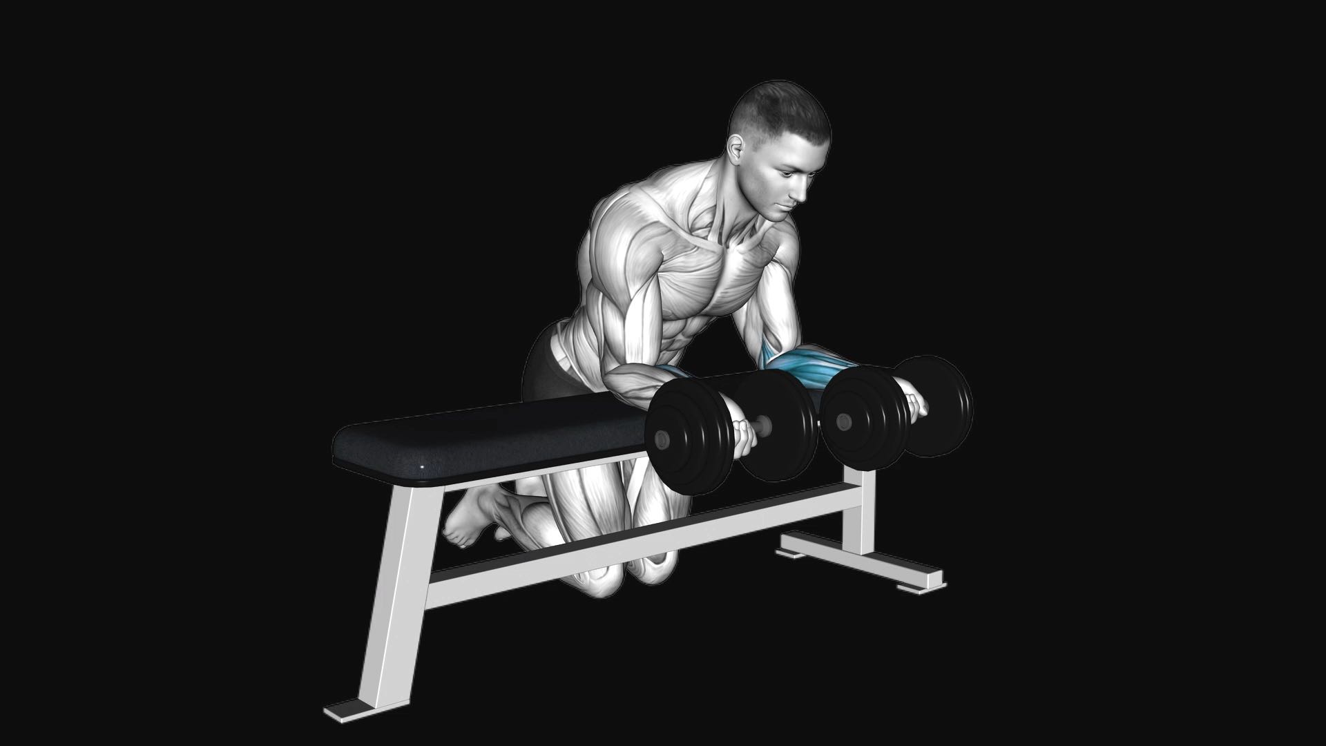 Dumbbell Reverse Wrist Curl Over Bench