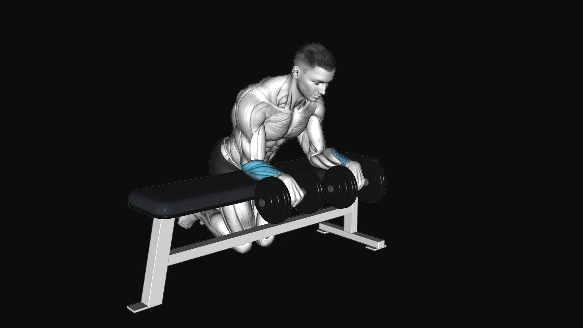 Dumbbell Wrist Curl Over Bench