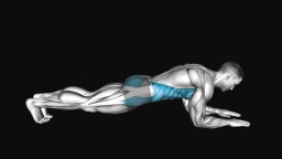 Front Plank