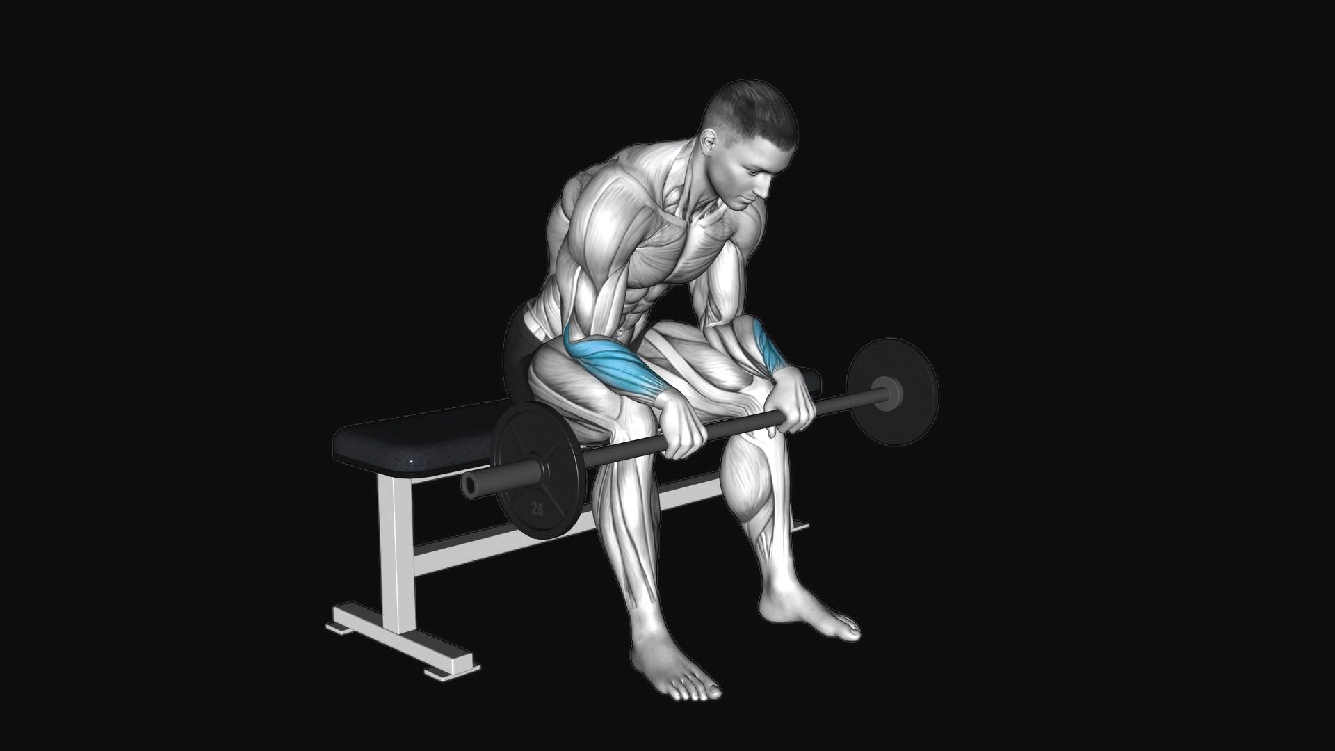 Barbell Wrist Reverse Curl