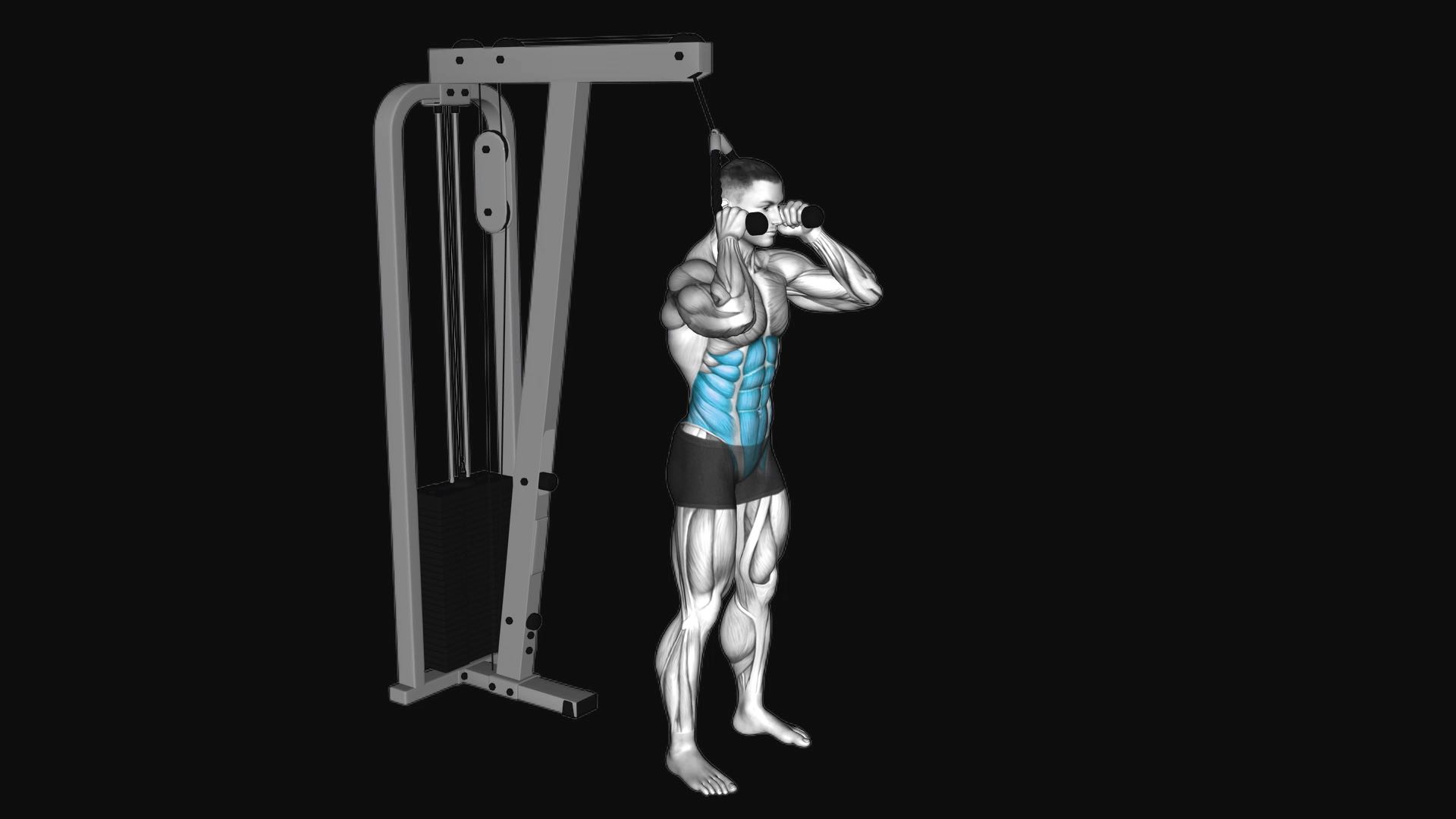 Cable Standing Crunch with Rope