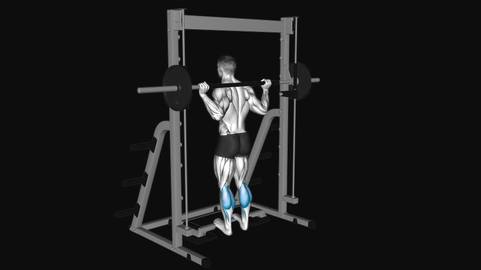 Smith Machine Calf Raise