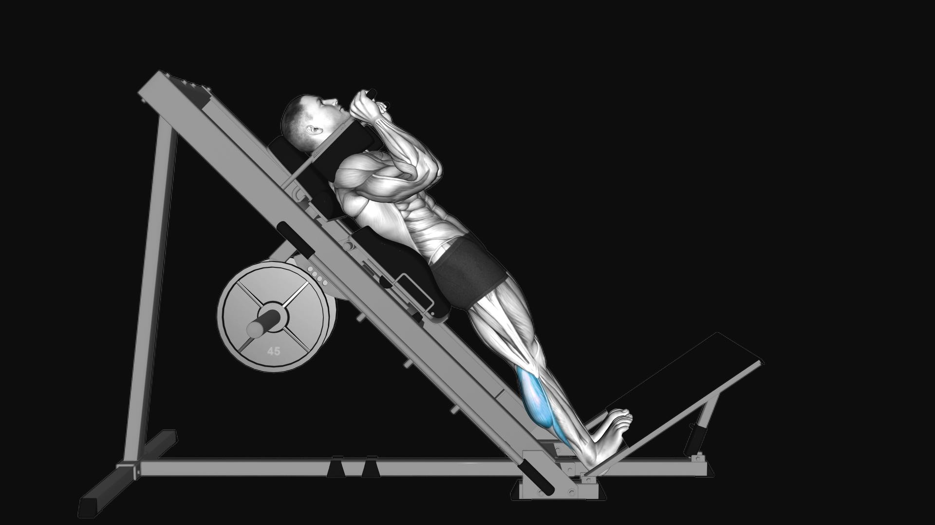 Hack Squat Calf Raise