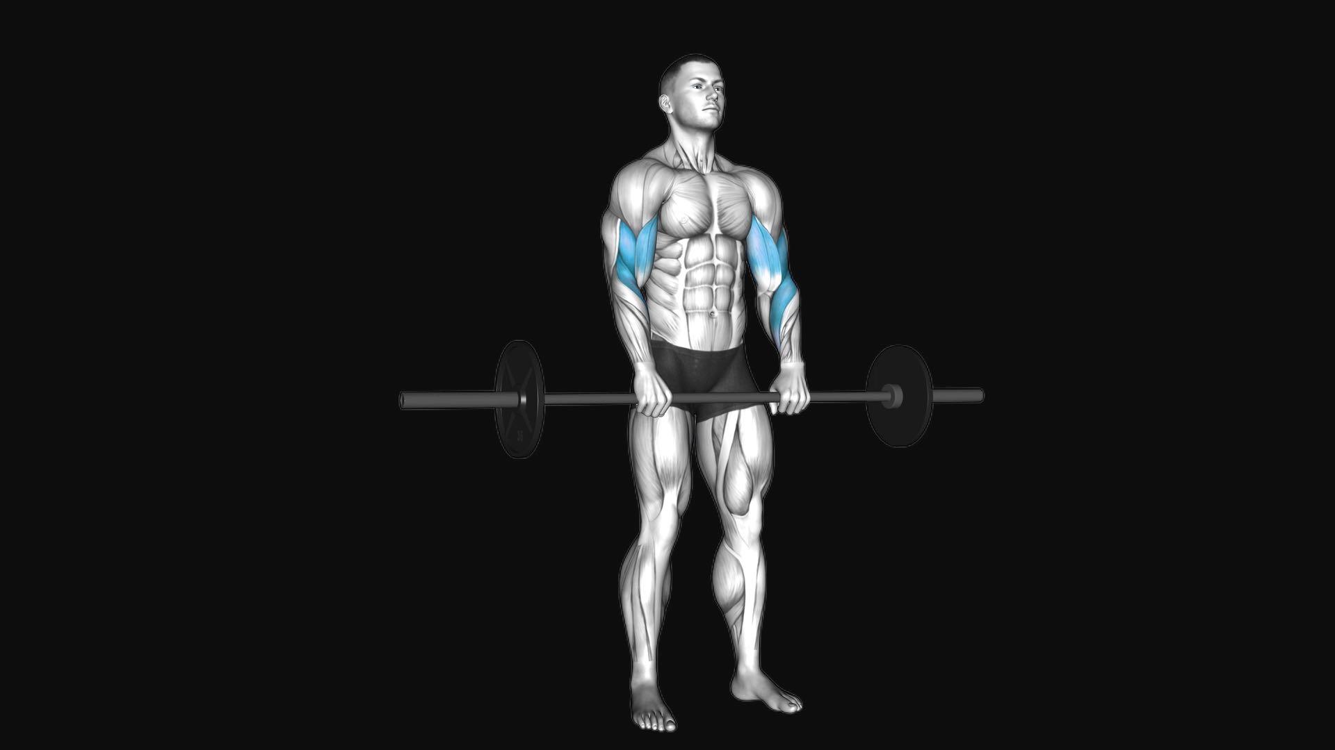 Barbell Reverse Curl