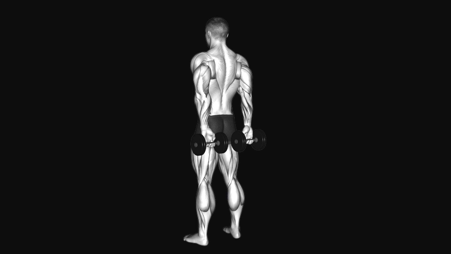 Dumbbell Behind Back Wrist Curl
