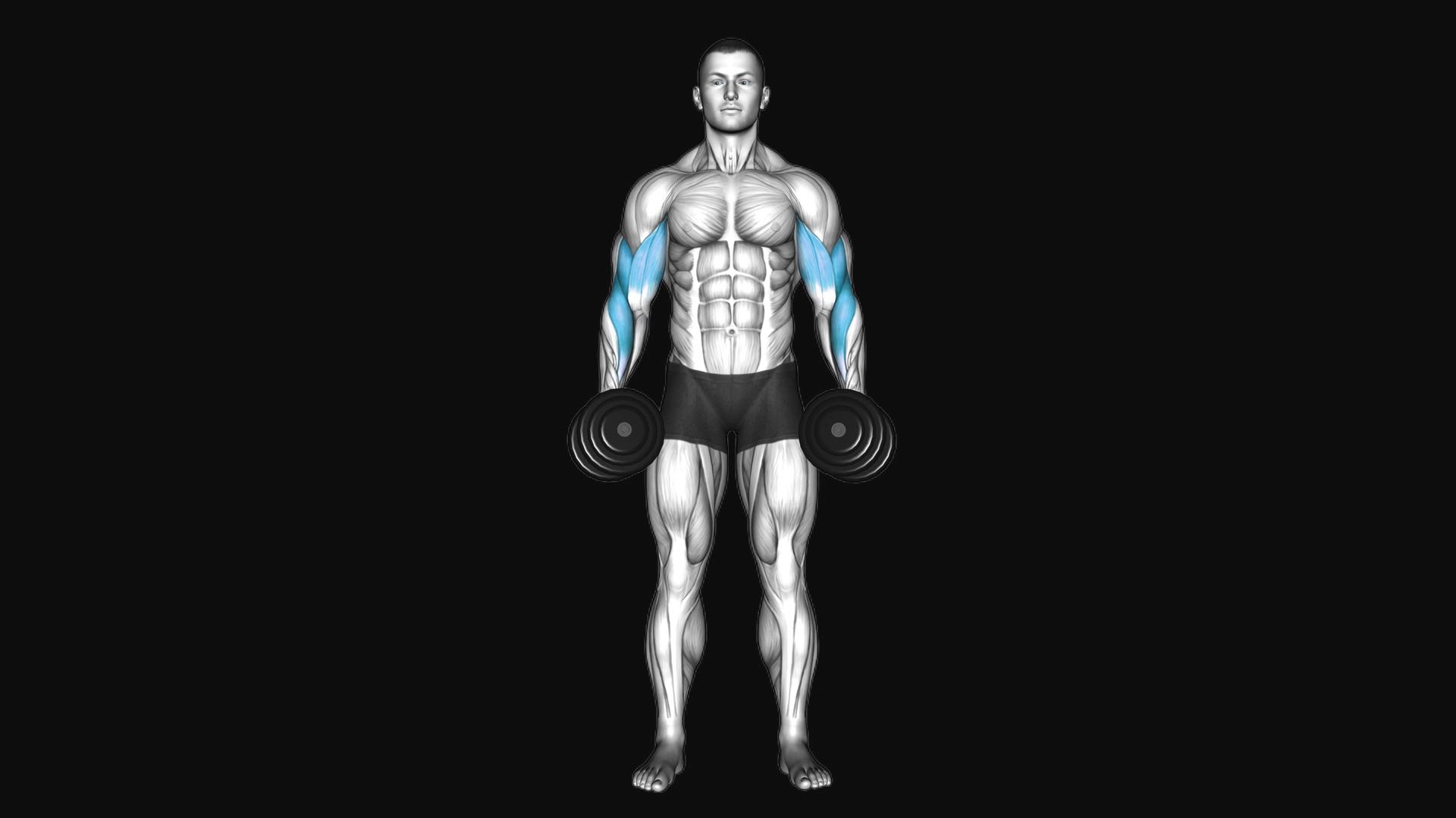Dumbbell Cross Body Hammer Curl