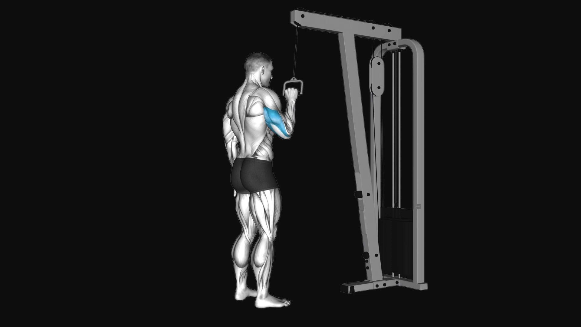 Single Arm Cable Tricep Pushdown