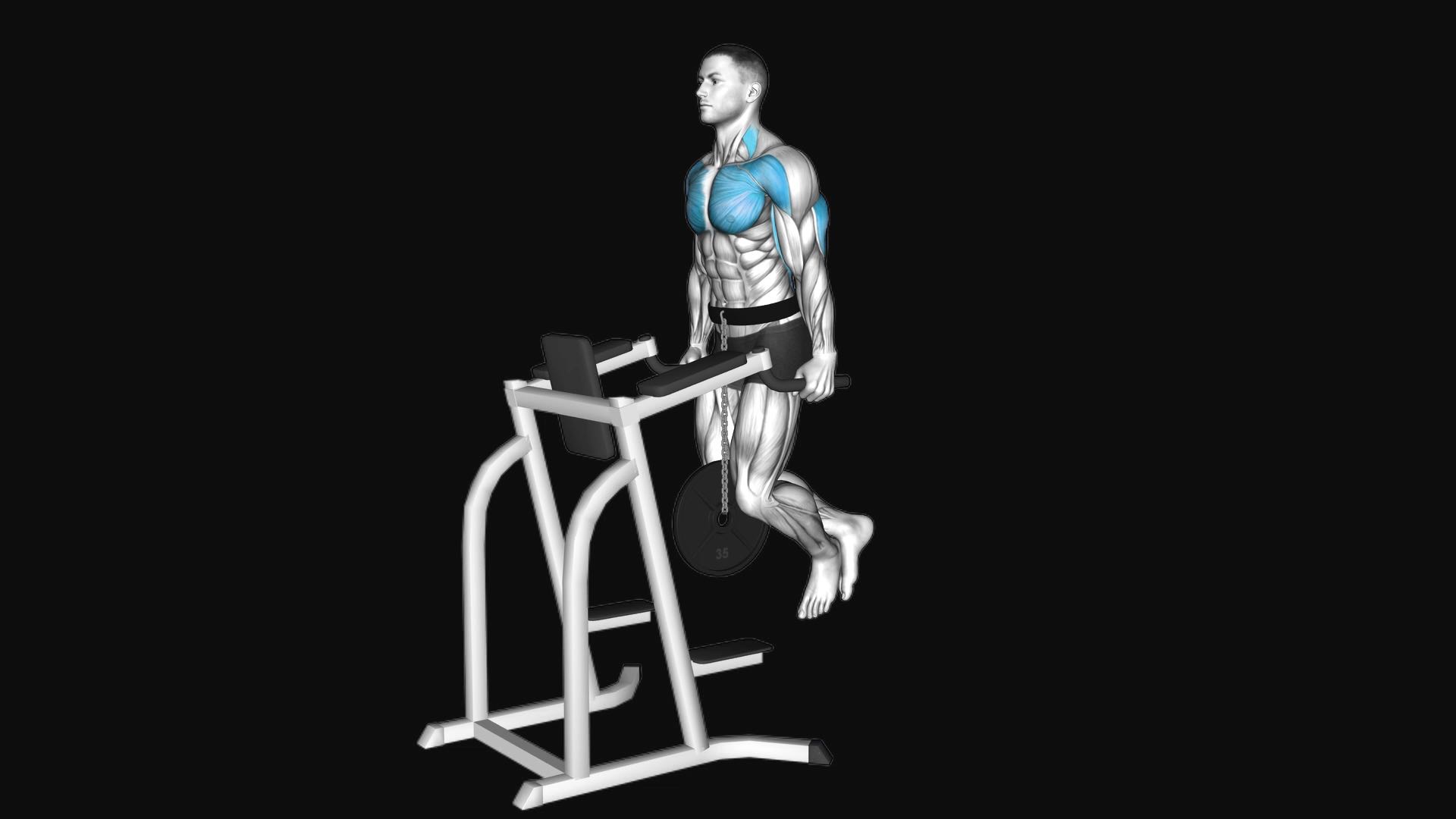 Weighted Tricep Dips