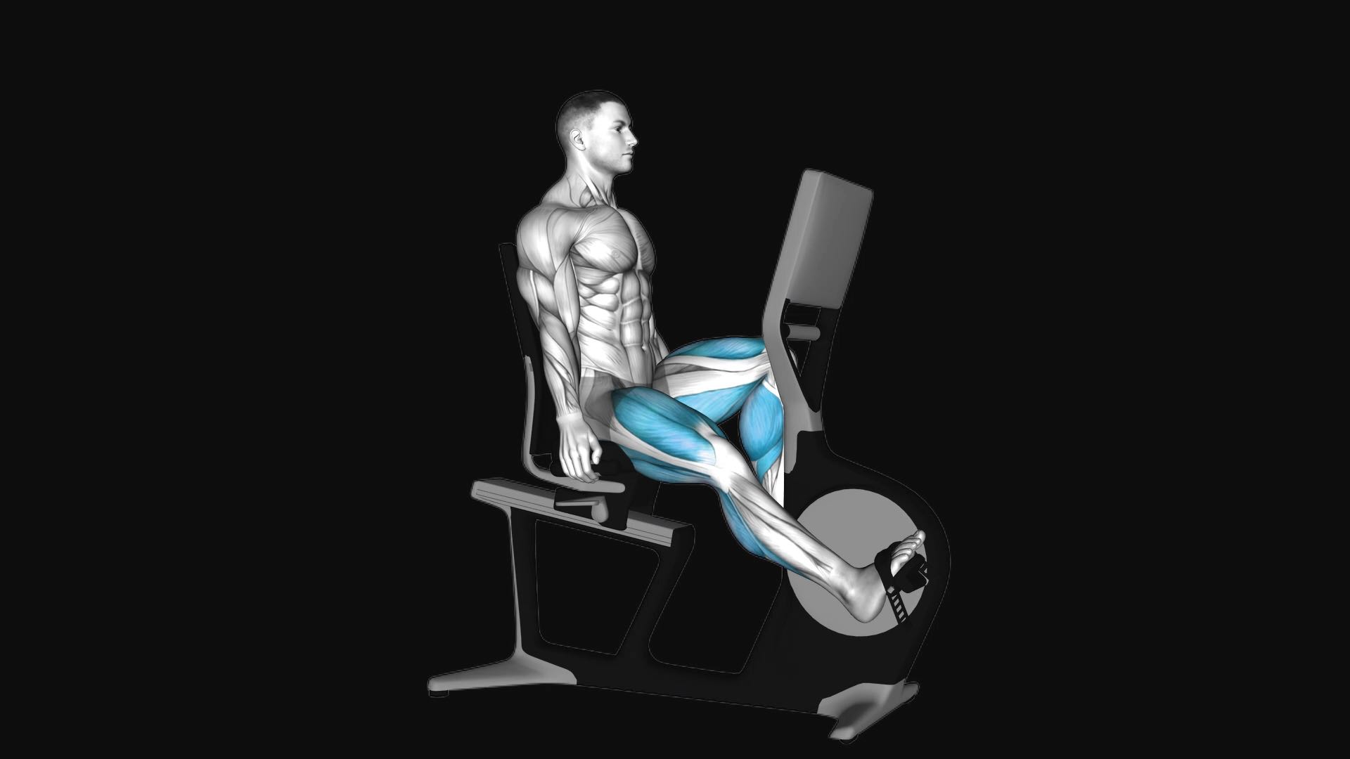 Recumbent Bike