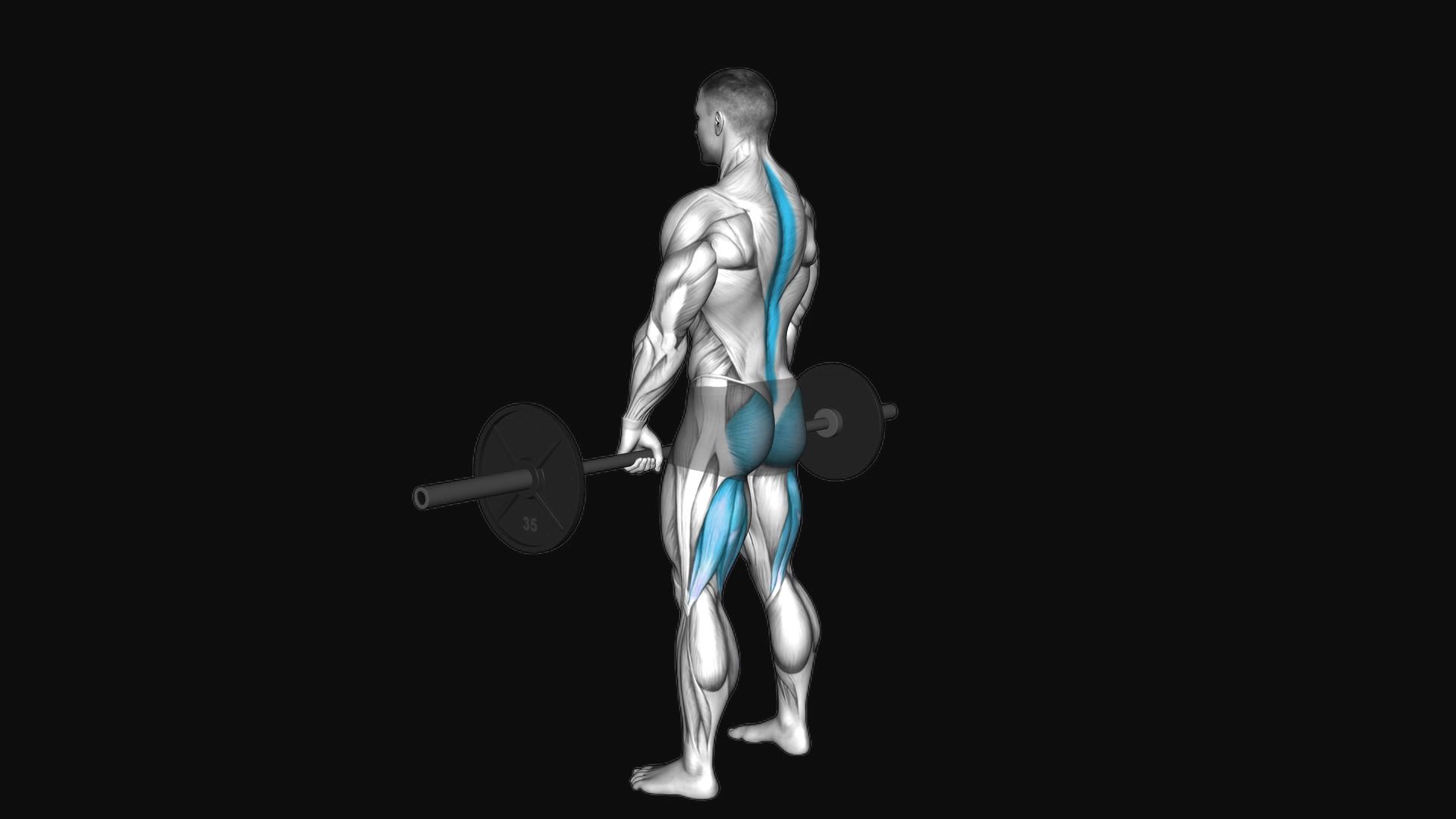 Barbell Romanian Deadlift
