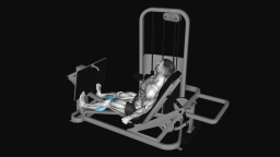 Seated Calf Press Machine
