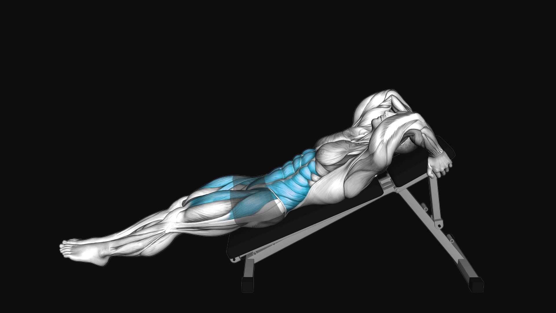 Decline Leg Raise
