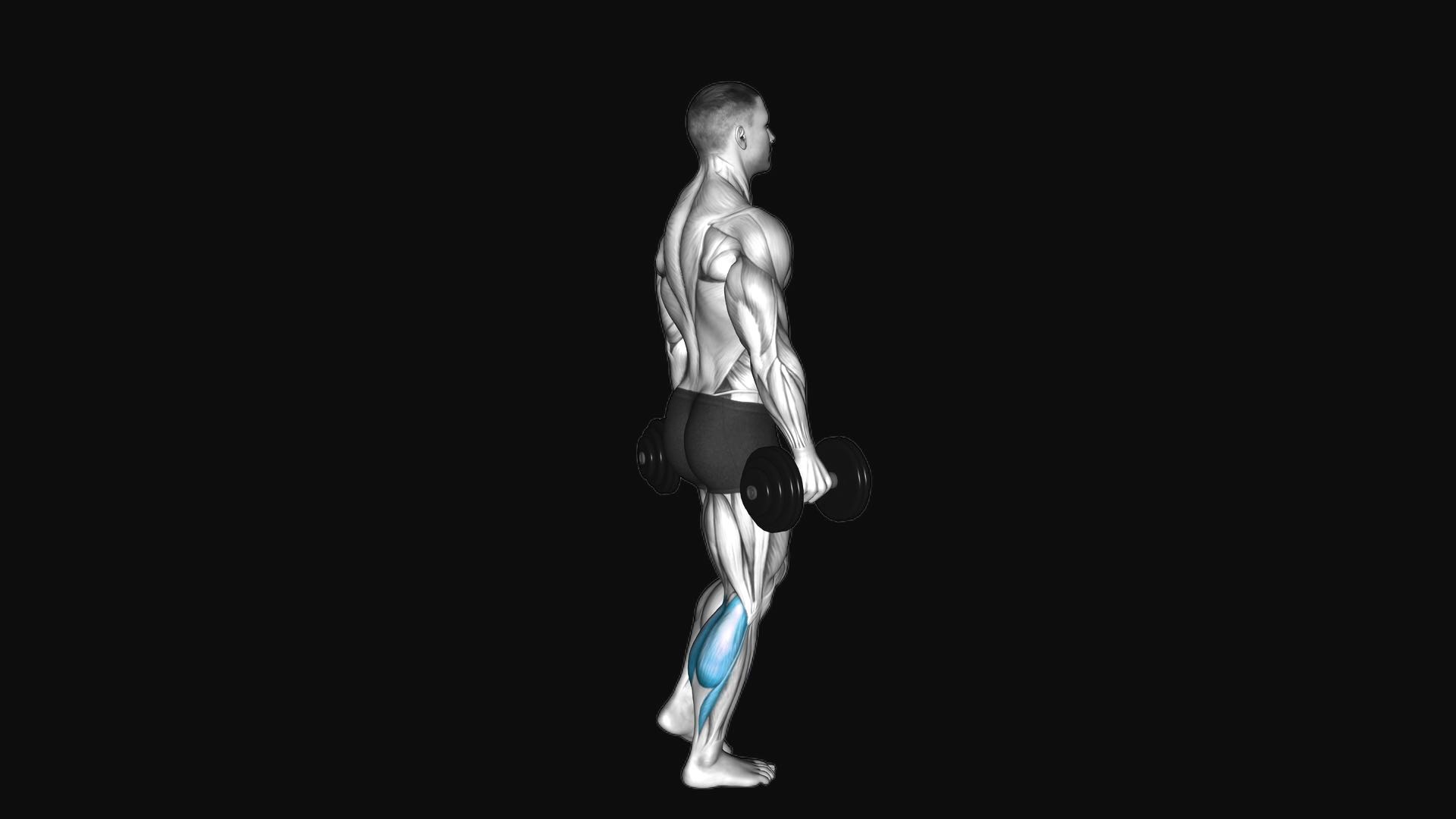 Single Leg Dumbbell Calf Raise