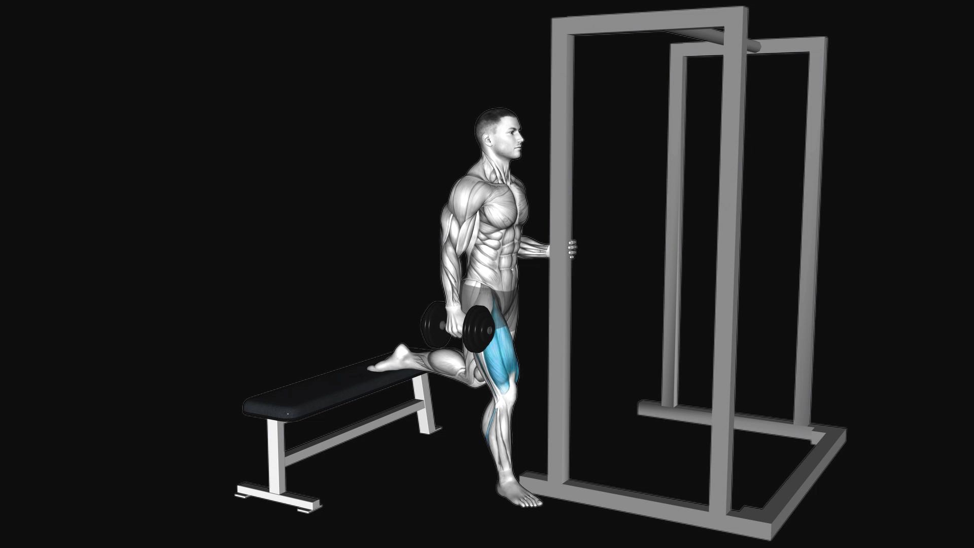Assisted Dumbbell Bulgarian Split Squat