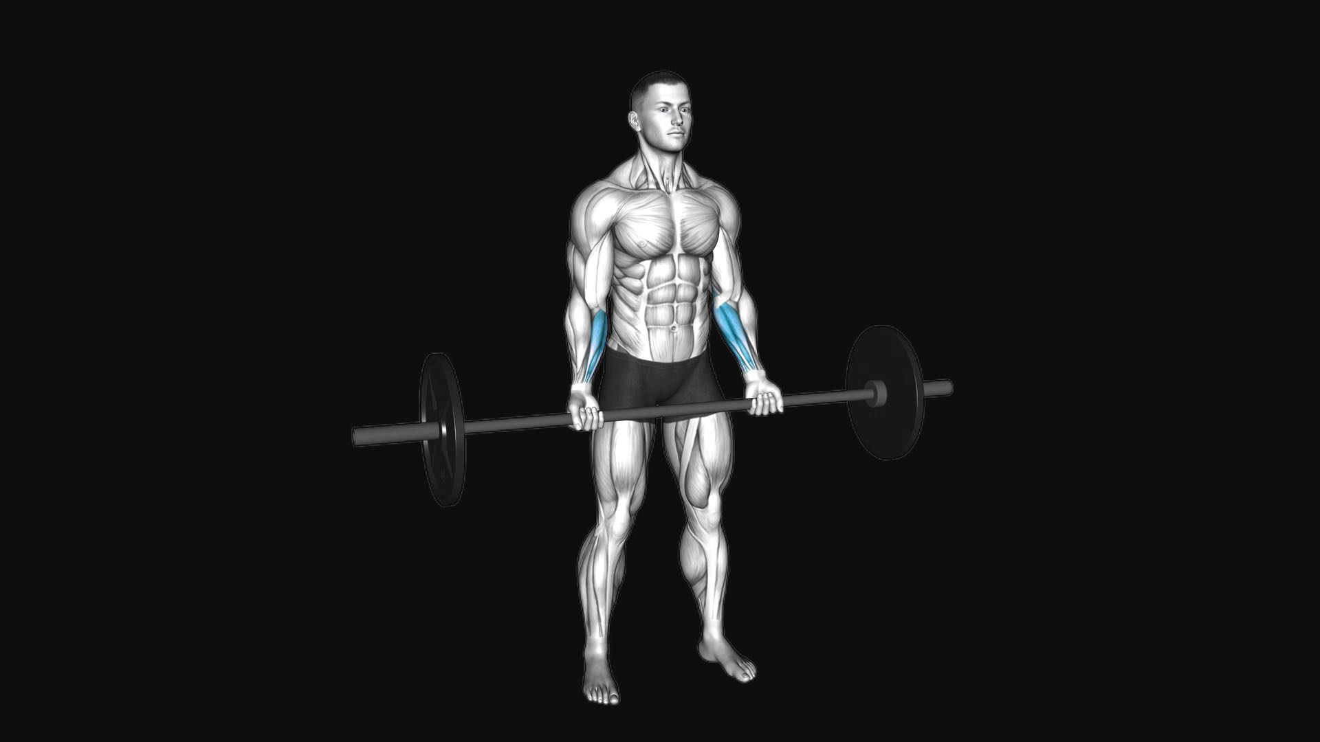 Barbell Standing Wrist Curl