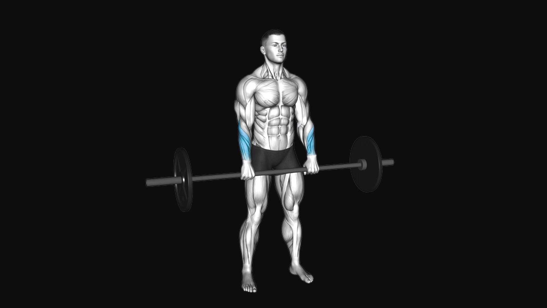 Barbell Standing Reverse Wrist Curl