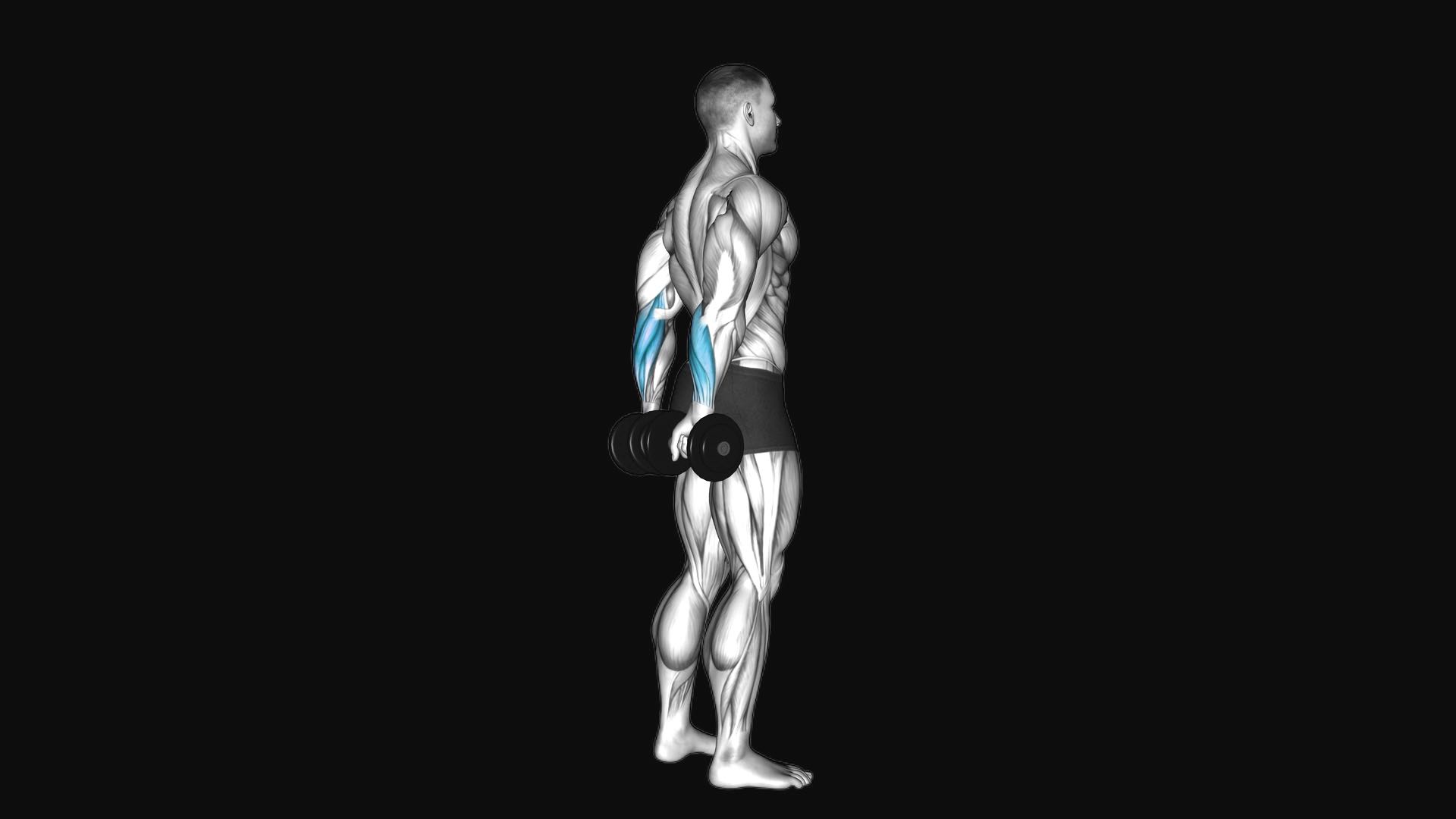 Dumbbell Standing Reverse Wrist Curl