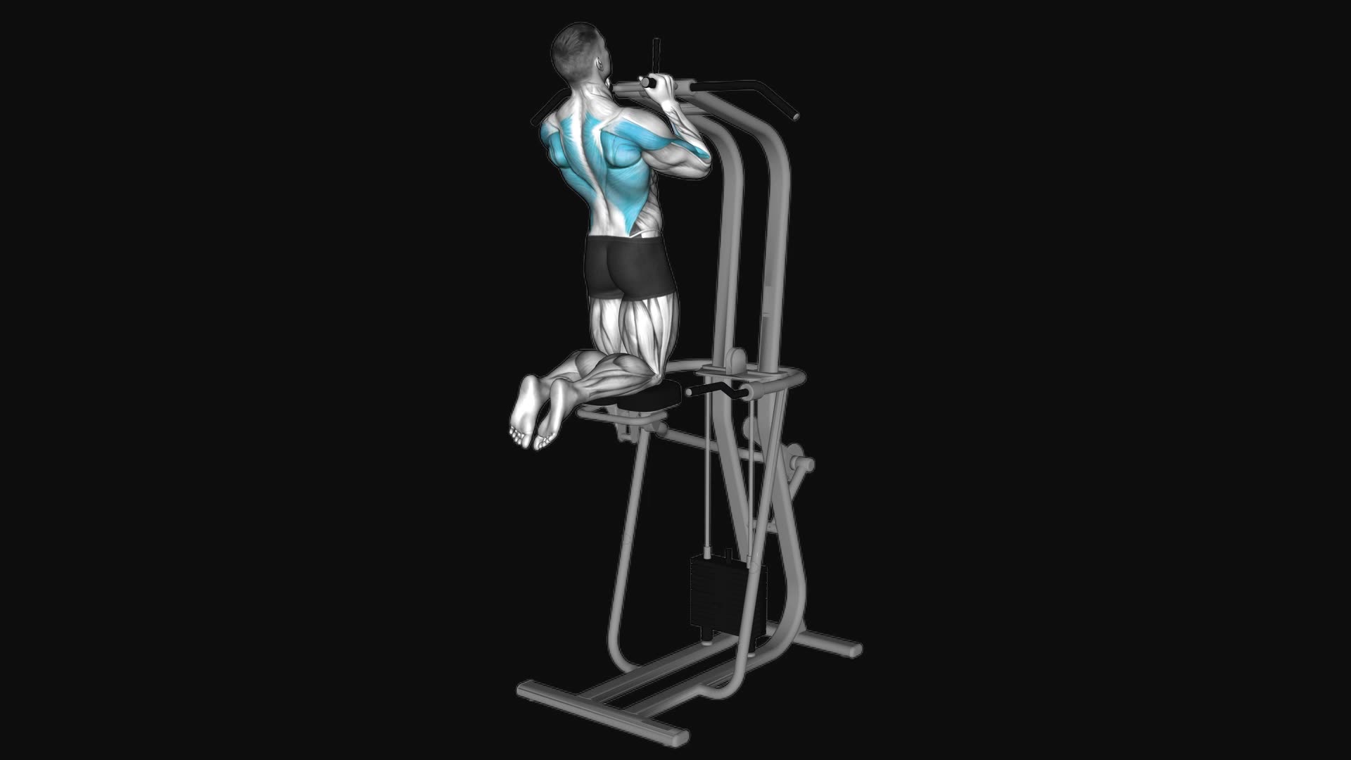 Assisted Parallel Close Grip Pull-up