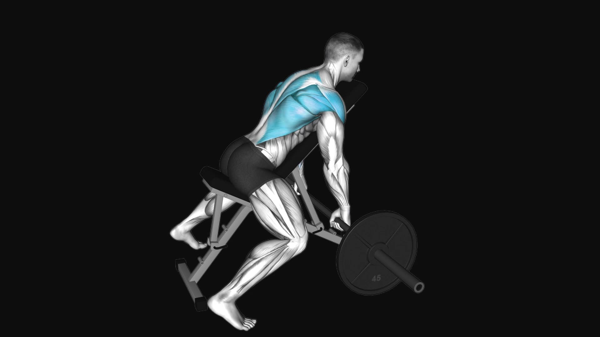 Barbell Incline Row