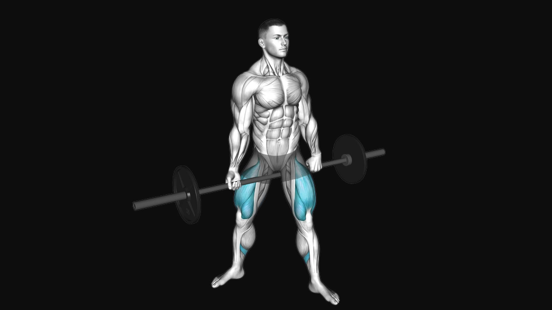 Barbell Jefferson Squat