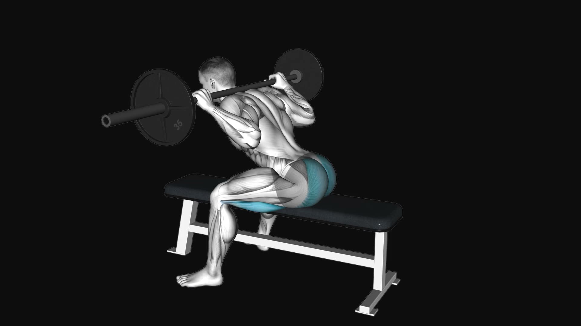 Barbell Seated Good morning