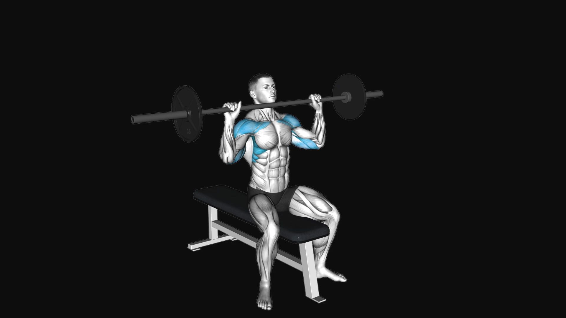 Barbell Seated Overhead Press