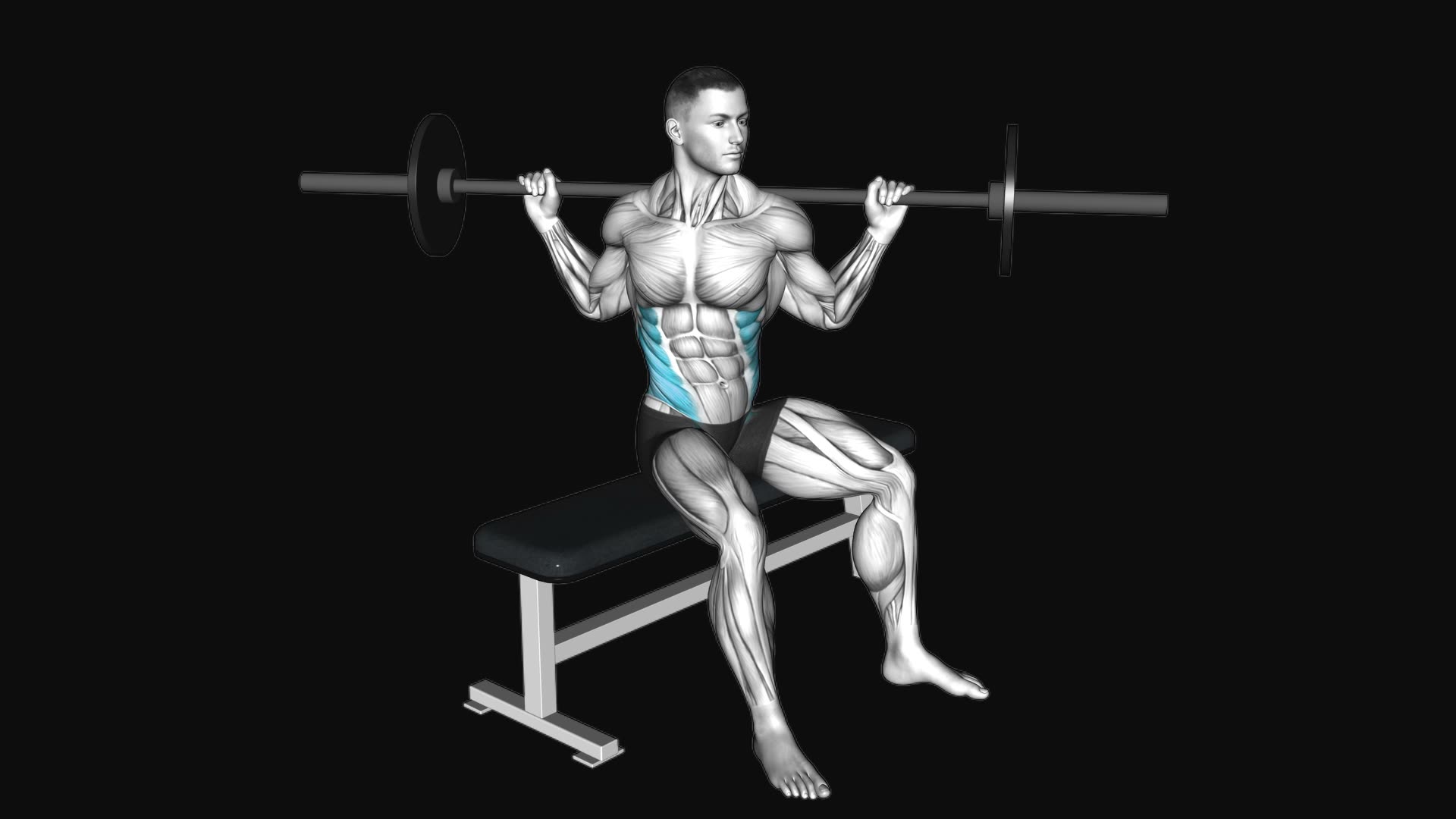 Barbell Seated Twist