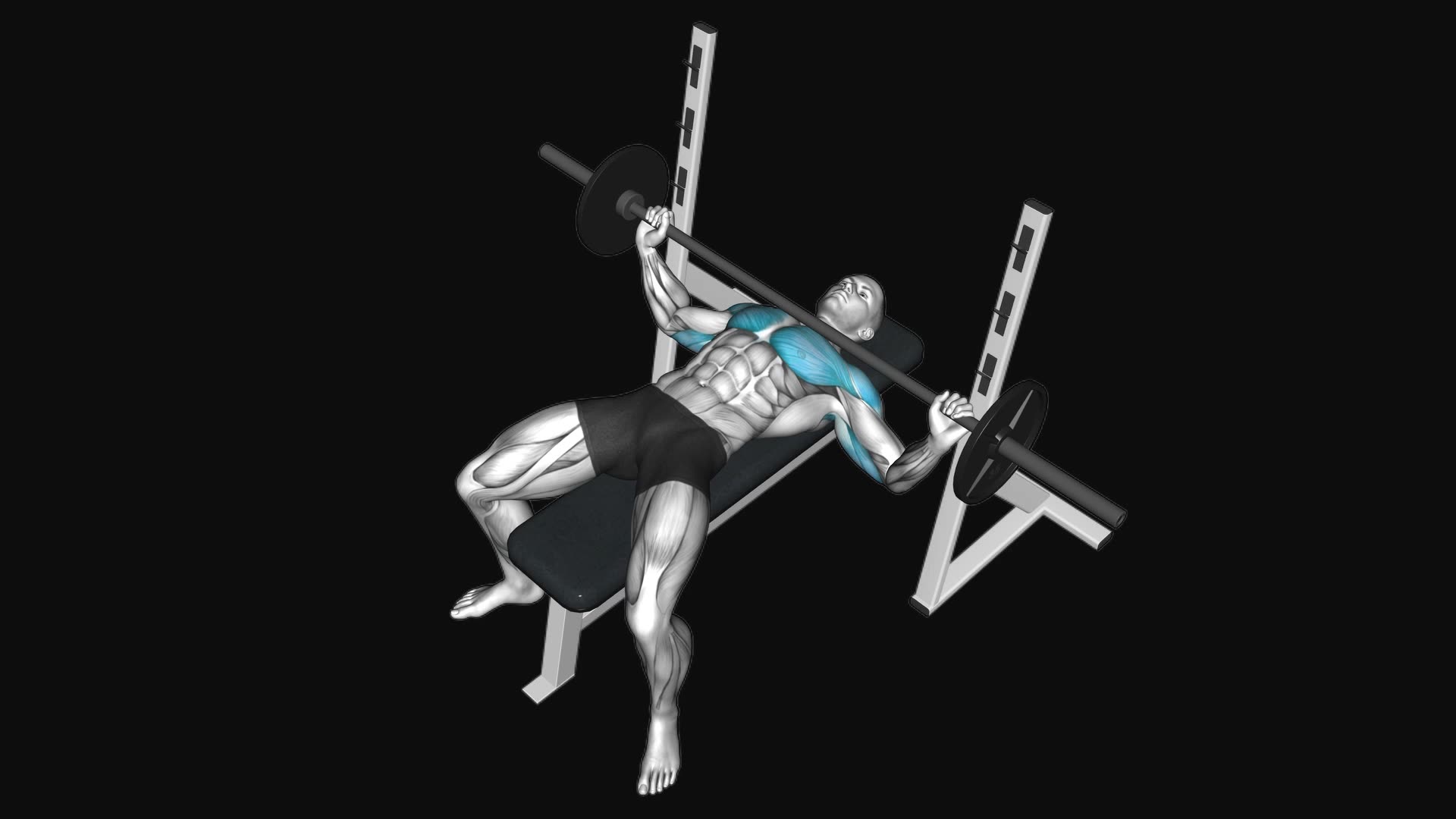 Barbell Wide Bench Press