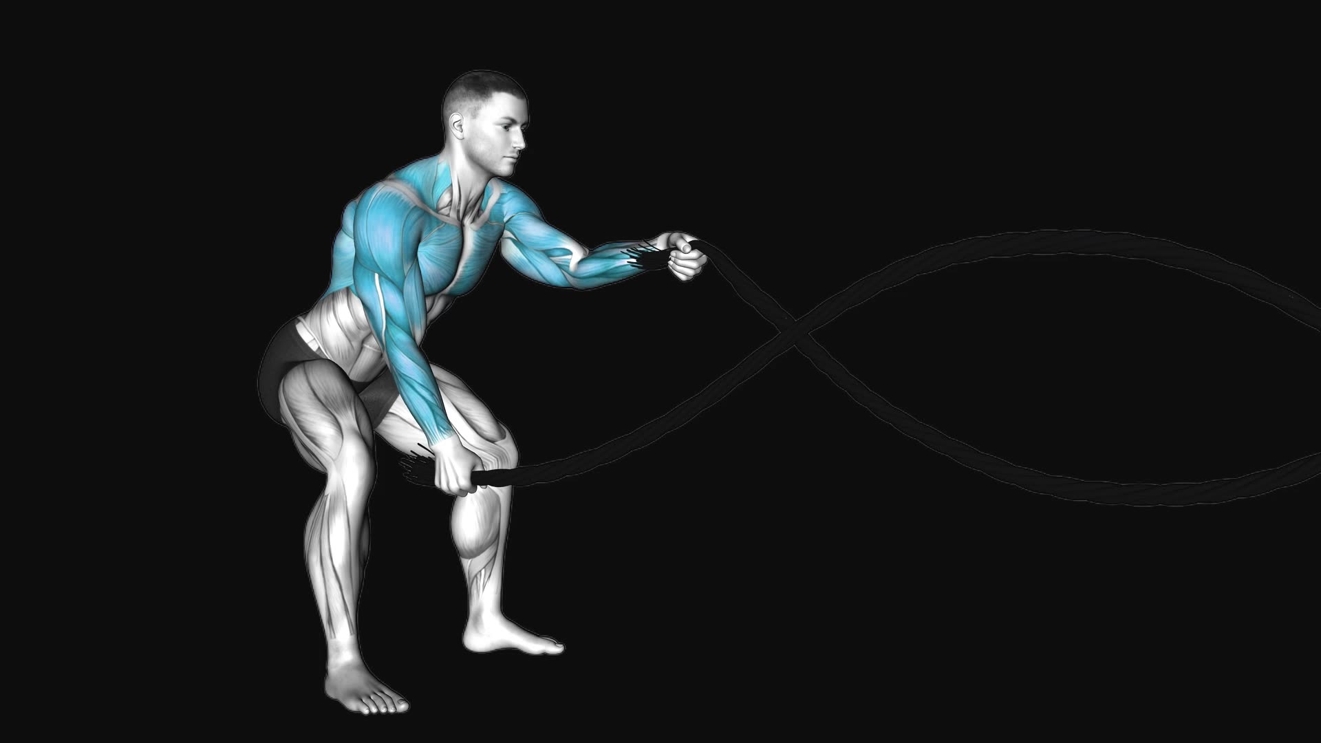Battling Ropes