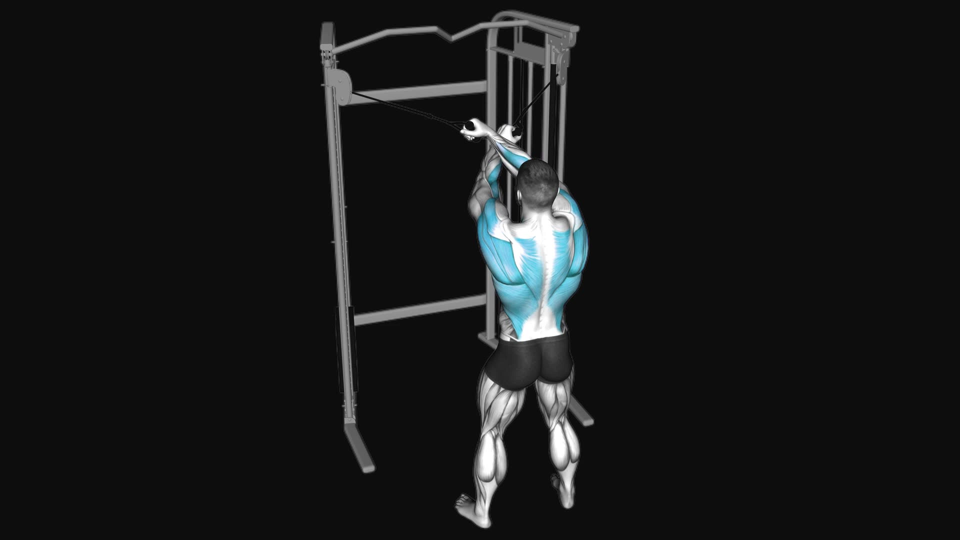 Cable Cross over Lateral Pulldown