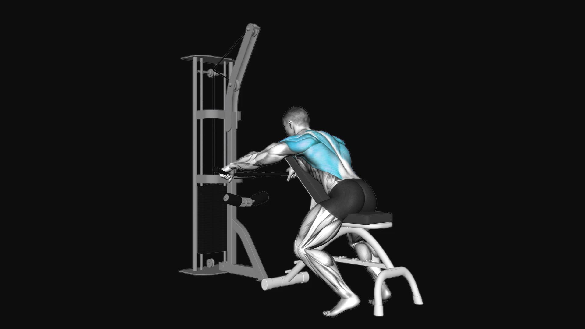 Cable Decline Seated Wide Grip Row