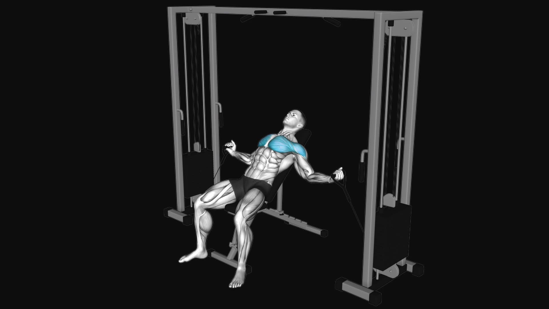 Cable Incline Fly