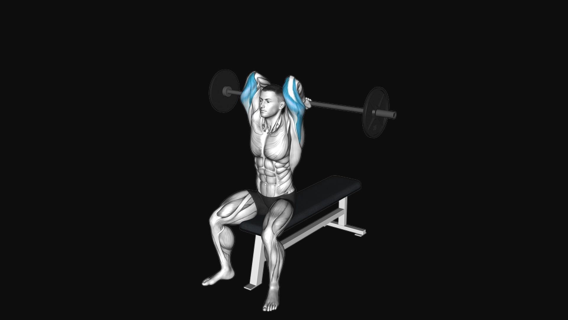 Barbell Seated Overhead Triceps Extension