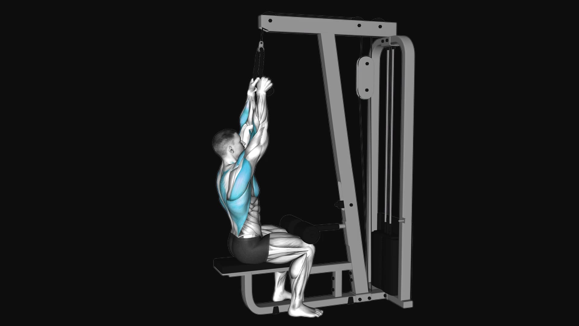 Cable Lateral Pulldown (with rope attachment)