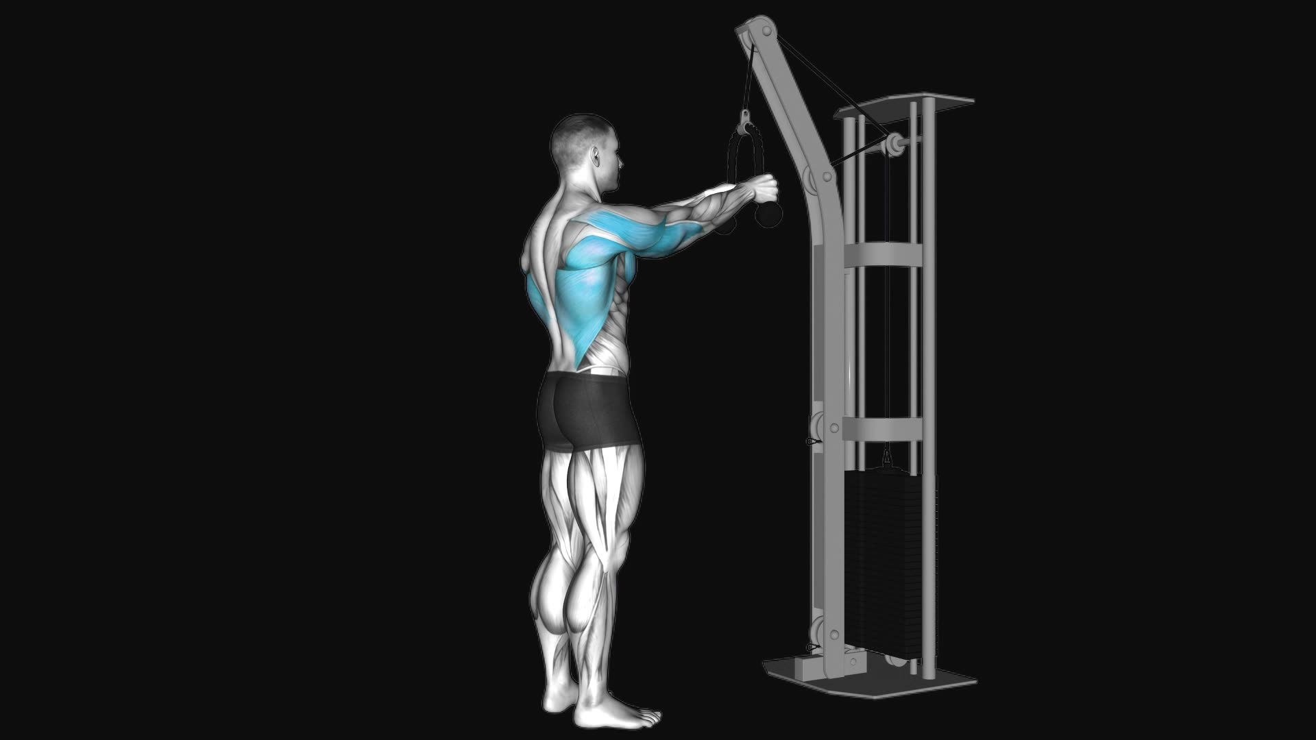 Cable Straight Arm Pulldown (with rope)