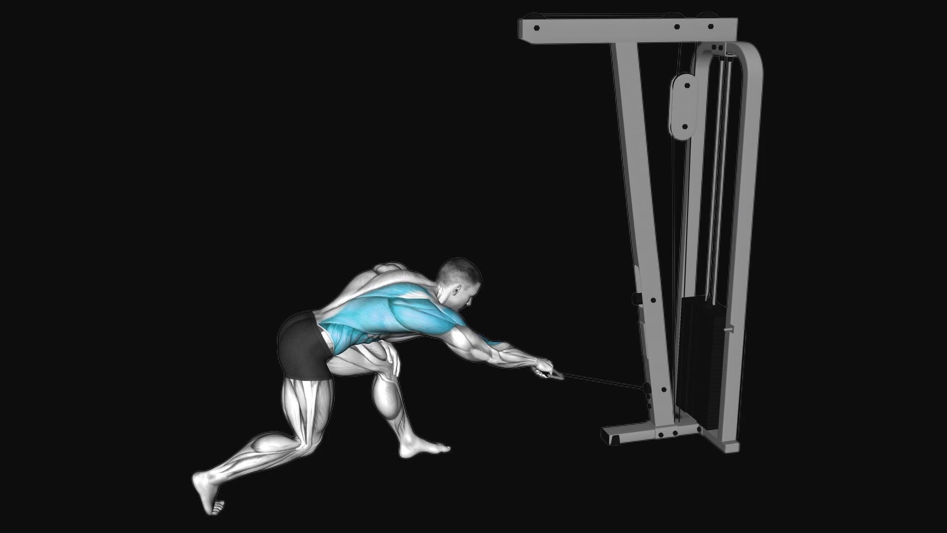 Cable Twisting Pull