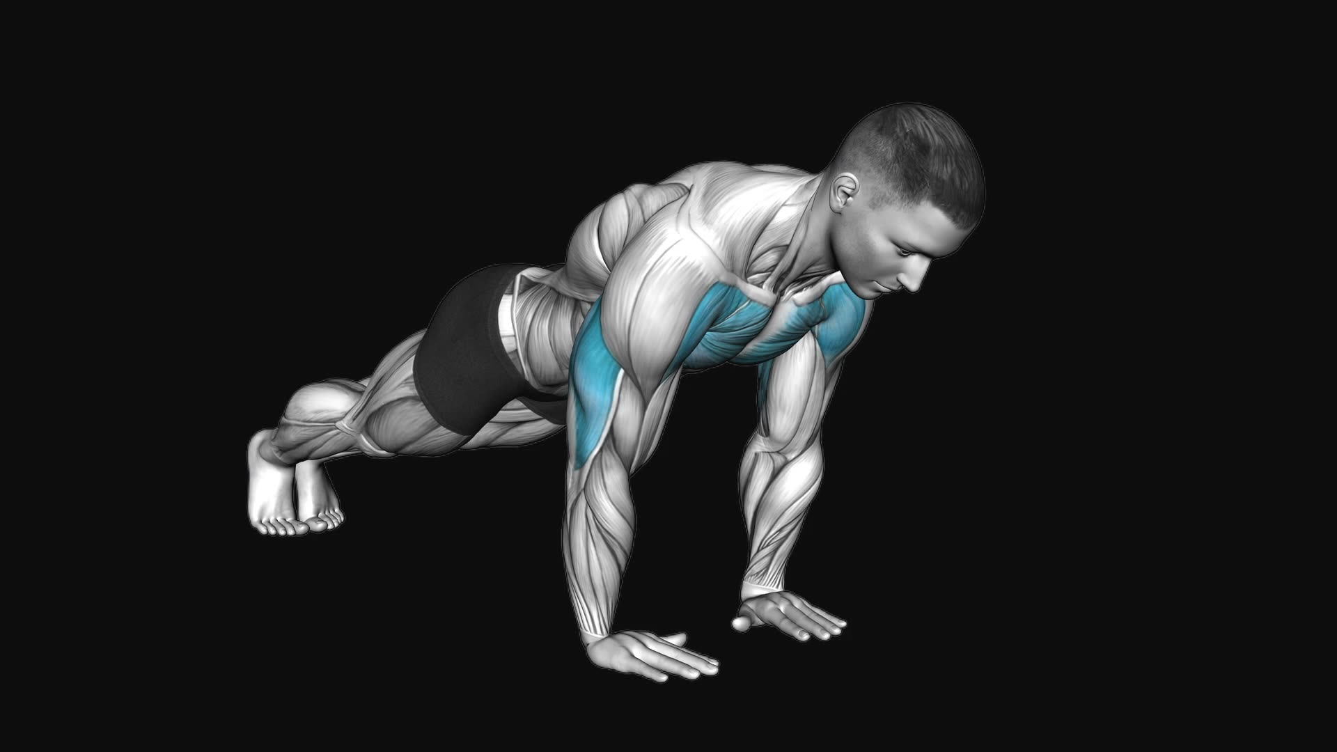 Close Grip Push-up